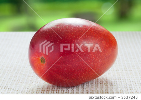 Apple Mango Apple Mango 5537243