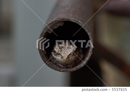 一隻青蛙 5537835