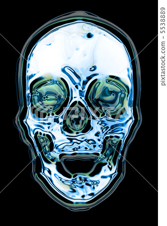 skull 5538889