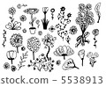 hand drawn flowers 5538913