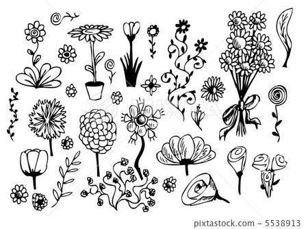 hand drawn flowers hand drawn flowers 5538913