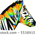 color zebra head 5538915