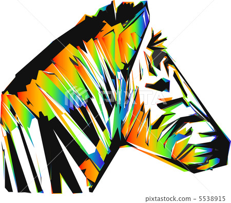 color zebra head color zebra head 5538915