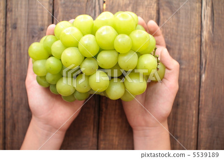 Child's hand holding Shine Muscat grapes 5539189