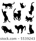 Cat silhouette 5539243