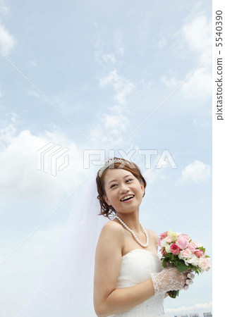 婚禮圖像 婚禮圖像 5540390