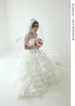 婚禮圖像 婚禮圖像 5540676