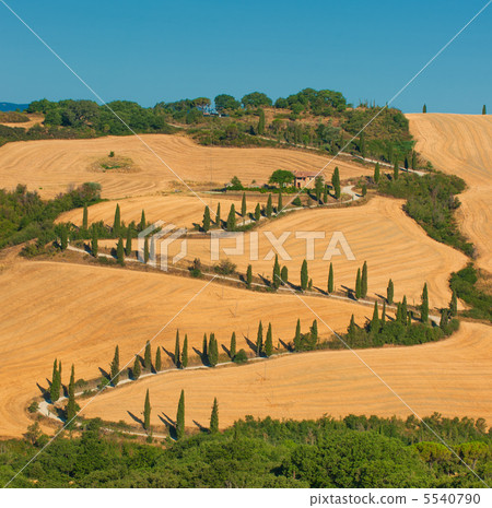 typical tuscan landscape typical tuscan landscape 5540790