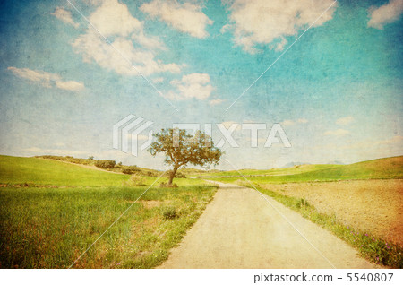 grunge image of countryside road 5540807