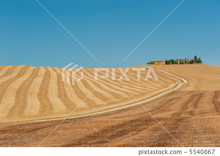 typical tuscan landscape 5540867