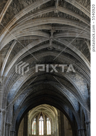 Dome of gothic cathedral 5540920