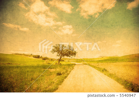 grunge image of countryside road 5540947