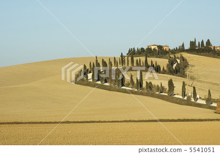 tuscan lanscape tuscan lanscape 5541051