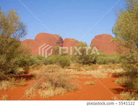 澳大利亞Kata Tuta的岩石岩石 5541122