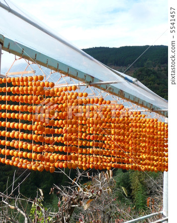 Dried persimmon 5541457