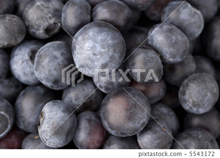 Blue berry 5543172