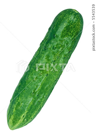 Cucumber isolated on white background Cucumber isolated on white background 5543539