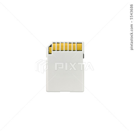 an SD memory card isolated on a white background 5543686
