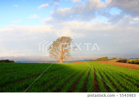 一座多雨的小山 5543983