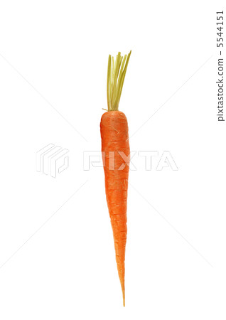 carrots carrots 5544151