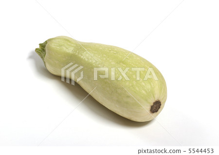white eggplant 5544453