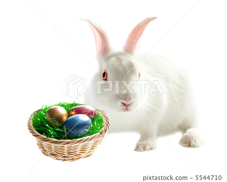 Colorful easter eggs and rabbit Colorful easter eggs and rabbit 5544710