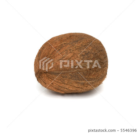 coconut isolated on white 5546396