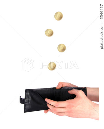 Coins falling into the purse Coins falling into the purse 5546457