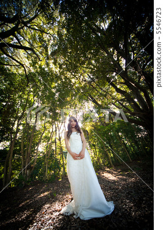 wedding, bridal, long-haired 5546723