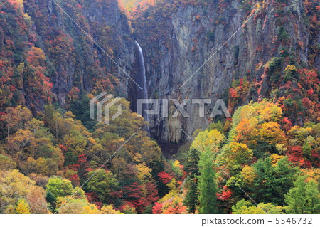 Yonago large falls fall in autumn Yonago large falls fall in autumn 5546732