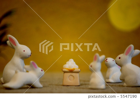 Rabbit moon viewing 5547190