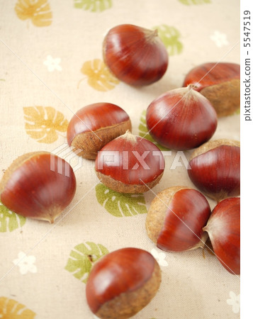 秋天的味道圖像照片(肖像位置) 秋天的味道圖像照片(肖像位置) 5547519