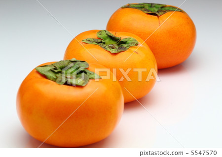 persimmon 5547570