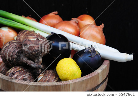 Harvest Harvest 5547661