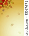 Autumn leaves 5547671