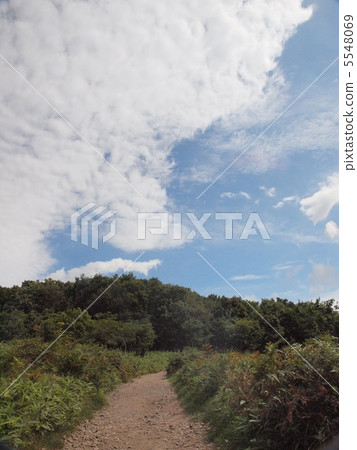 Shiretoko in the summer 5548069