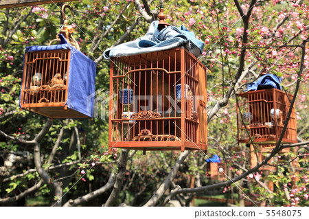 Picture catch bird (Ganba) and Ha Tung (Kaido) 5548075