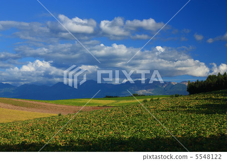 Red-brown red bean field and Tokachi 5548122