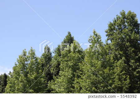 Blue sky and blue sky Blue sky and blue sky 5548392