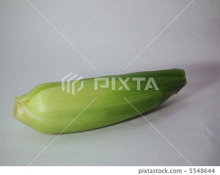 玉米原料 5548644