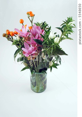 Curcuma / Lindau / Capsicum conical 5548650