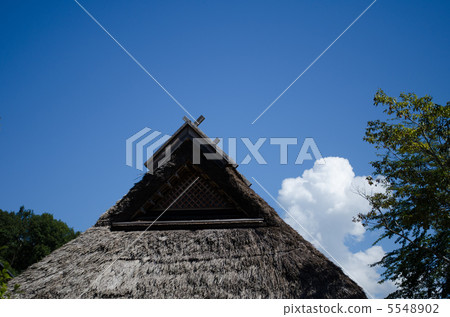 Rural landscape 5548902