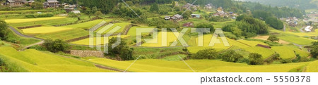 Panorama terraced rice field in Gifu Prefecture Terraced Rice-Fields in Gifu Prf. Panorama terraced rice field in Gifu Prefecture Terraced Rice-Fields in Gifu Prf. 5550378