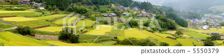 Panorama terraced rice field in Gifu Prefecture Terraced Rice-Fields in Gifu Prf. Panorama terraced rice field in Gifu Prefecture Terraced Rice-Fields in Gifu Prf. 5550379
