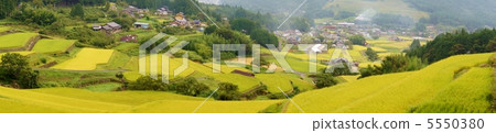 Panorama terraced rice field in Gifu Prefecture Terraced Rice-Fields in Gifu Prf. Panorama terraced rice field in Gifu Prefecture Terraced Rice-Fields in Gifu Prf. 5550380