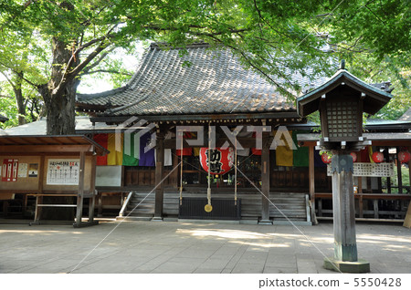 Todoroki Fudoson Todoroki Fudoson 5550428