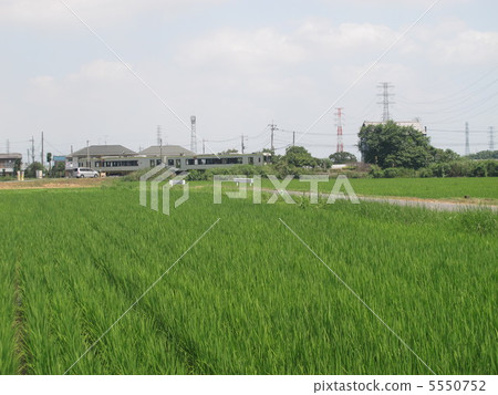 Aota的一列Hachimaku 5550752