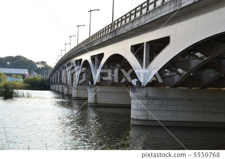 Teganuma Ohashi 5550768