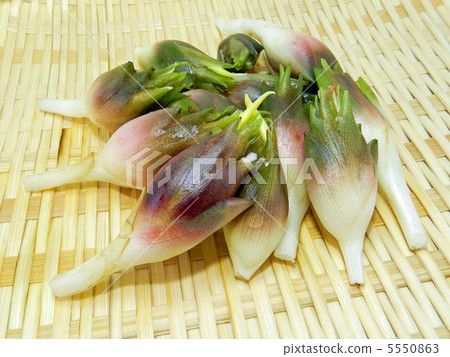 MYOGA（正在加載） 5550863