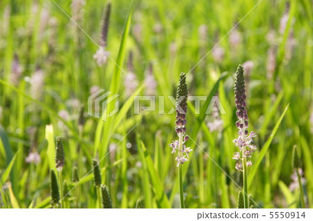 9月Turbo Yuri 54 9月Turbo Yuri 54 5550914